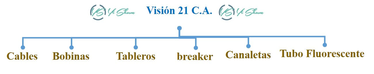 define los productos en visión 21 imagen